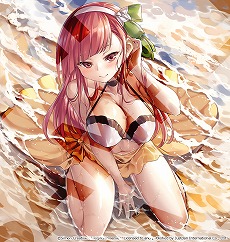 ꡼ No.023Υͥ / ѥᵼͲADVֿѷϾ 2 סSwitch428ȯءǤŹŵξ餫