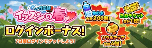 ꡼ No.004 | Ϻʡסȥѥ졼ġ֡٥ޥꥢɡȰˡաåνաɳ