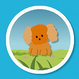 ���������꡼ No.006�Υ���ͥ������ / ����ڤʥ֥��å������֥ȥ��ס����������סס�Android�������ۿ�����