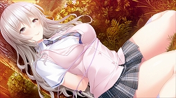 ꡼ No.018 | Switchlove clear -֥ꥢ-ס224ۿꡣ4ͤξȤڤ륢ɥ٥㡼