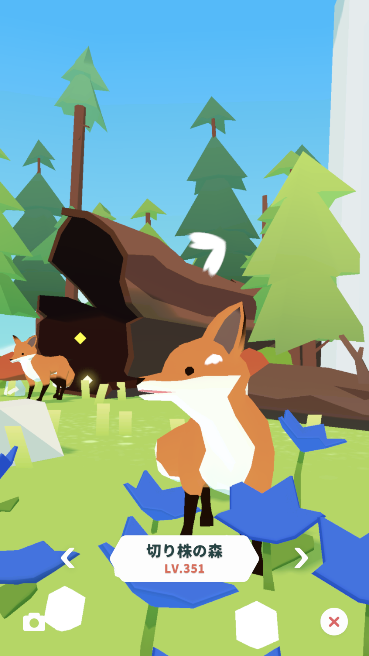 ꡼ No.002 | ֥ե쥹ȥɡߤơޤˤåץǡȤ»