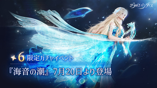 ꡼ No.005 | ֤᤭ѥץ٥ȡֳĬפָ6åȥǳڲȡ5åȥ಻о