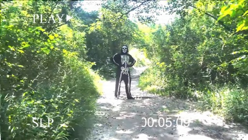 ꡼ No.010 | Vampire Survivorsס饤ޥץ쥤PC󥷥塼޵˺⤦顤⤦о줷