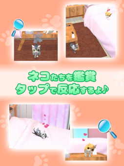 �ͥ��ϱ��Ρ� -�����ϥ����ȥѥ���-