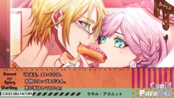 ꡼ No.007 | ֥塼ԥåȡѥ饵 -Sweet  Spicy Darling.-ס䥷ӡ饦ȤΤ꤬ǧǤץ쥤ࡼӡ3ܤ