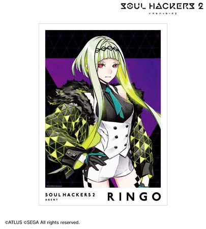 ꡼ No.005 | ֥ϥå2סȥ졼ǥ󥰥륹ɤʤɥꥸʥ륰åо졣AMNIBUSˤƼ򳫻