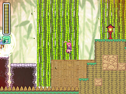 風の祝子 〜早苗さんの妖怪退治〜