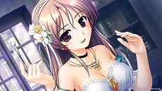 ꡼ No.024Υͥ / PS4/Switchǡ̽Υڥ륫ꥢפȡΥ桼ƥפ623ȯءȤץ󤷡ŵ