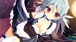 ꡼ No.003 | PS4/Switchǡ̽Υڥ륫ꥢפθǤ