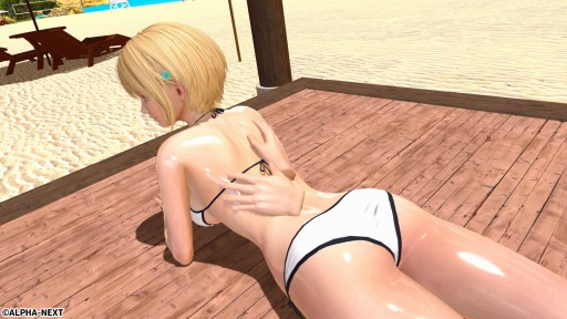 ���������꡼ No.029�Υ���ͥ������ / PC����VR���ץ��SUMMER VACATION�פ�Steam�ˤ��ۿ����ϡ���꡼���������»�