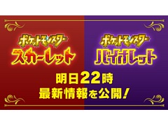 �֥ݥ��åȥ�󥹥��� ��������åȡ��Х�����åȡס��ǿ�����������22��00����ۿ�