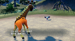 ꡼ No.016 | ֥ݥ åȡХåȡפκǿˡݥȥꥭɤ䡤虜ޥȤ虜ޥޥɤϪ