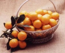 ꡼ No.009Υͥ / ܺݥȥʥåɤɤ˽и֥ʥå꥾ in ɤߤ䤶KONNEפ245˳Ť