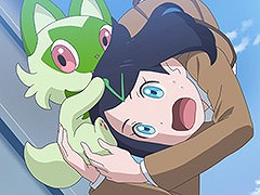 ˥֥ݥåȥ󥹥׿꡼ϡȡ꡼˹碌꤬դ褦ˡ4141äΤ餹俷ʾ̥åȤ