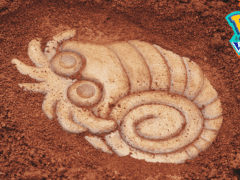 ǥݥõȥ饯Pokmon WONDERס430730ʬͽդ414˳