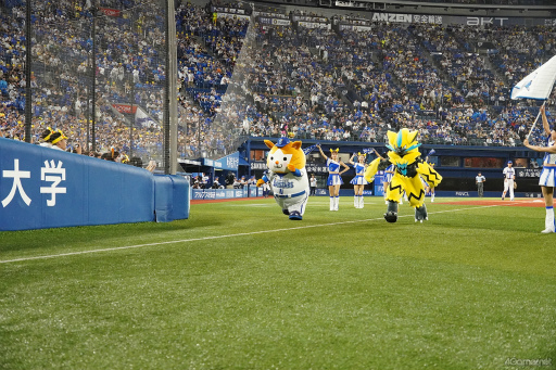 ꡼ No.004 | ԥ奦ϥޥڤ䤫˺̤롪եݥե˳ڤ֥ݥܡѡ襳ϥޡפݡ