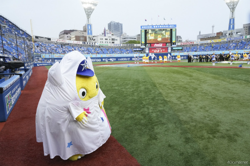 ꡼ No.027 | ԥ奦ϥޥڤ䤫˺̤롪եݥե˳ڤ֥ݥܡѡ襳ϥޡפݡ