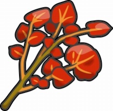 ꡼ No.015Υͥ / ֥ݥSVץꥸʥWeb˥ݸΥ֥쥹2øꥭΥޥ˥㤬͸