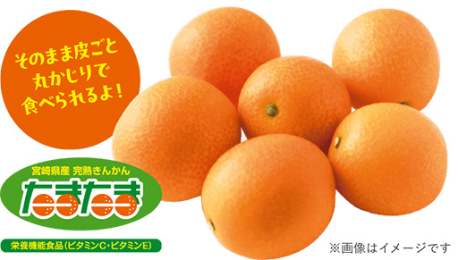 画像ギャラリー No.002のサムネイル画像 / 名前が“たまたま”同じ!? たまごポケモン「タマタマ」が宮崎県産の完熟きんかん「たまたま」とコラボ