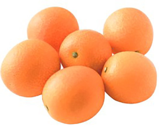 ꡼ No.013 | ֥ʥå꥾ in ɤߤ䤶KONNE21011˳šޤݥ֥ޥޡפȥܤ󤫤䡤ʥåܾʤ