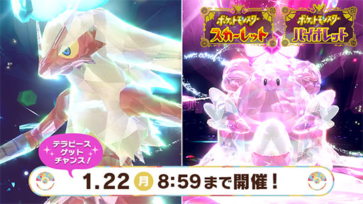 ꡼ No.002Υͥ / ֥ݥSVסƥԡ䤱󥢥¿ɥåפȥϥԥʥɤƥ쥤ɥХȥ˽и档ȺǶΥХ㡼ɤƱ֤о