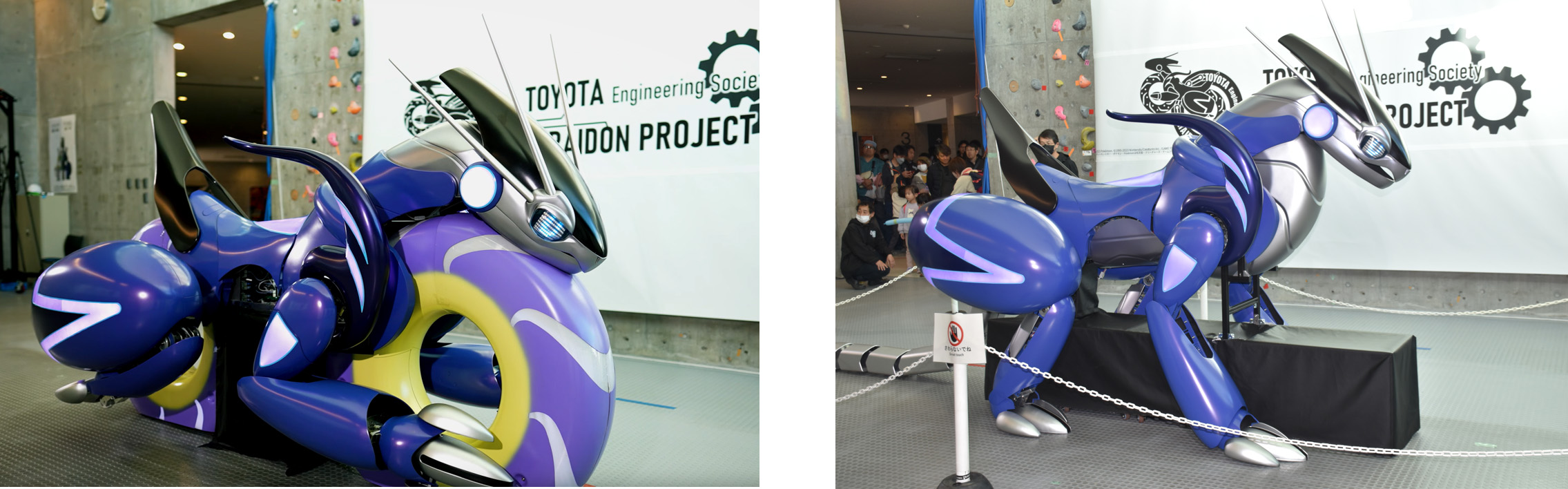 ꡼ No.005 | ֥ȥ西ߥ饤ɥץȡŸ襤٥ȡ31517ޤǳšʪߥ饤ɥ˾