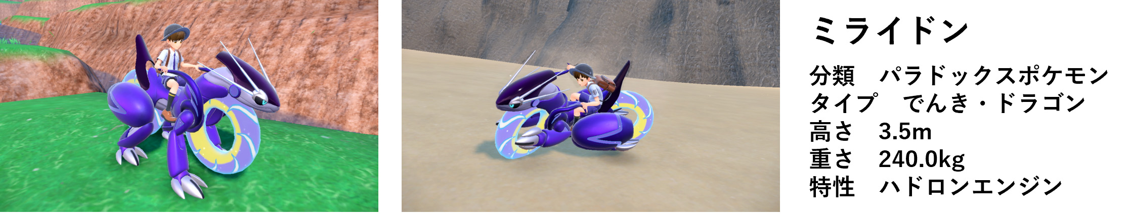 ꡼ No.006 | ֥ȥ西ߥ饤ɥץȡŸ襤٥ȡ31517ޤǳšʪߥ饤ɥ˾