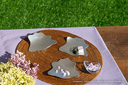 画像ギャラリー No.005のサムネイル画像 / モンスターボールをモチーフにした器やメタモンのトレーを用意。「能作ポケモンコレクション」,7月1日に発売