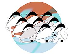 �֥ݥ��ߥ��ס����ʡ֤��󤫤��󤫤��󤫡פ�MV��12��6��18��30�˸������֥������פθ������夵�󤬼�ݤ���