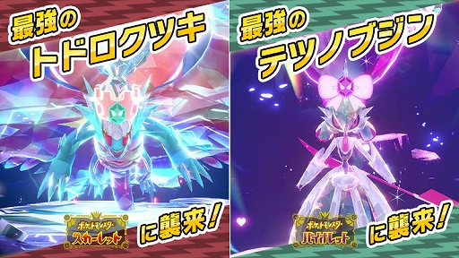 ꡼ No.001 | ֥ݥSVסǶΥȥɥĥȺǶΥƥĥΥ֥о줹ƥ쥤ɥХȥ103900鳫