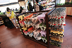 画像ギャラリー No.083のサムネイル画像 / 「ポケパーク カントー」ってどんなところ? 体験して分かった楽しさと,来園前に知っておきたいポイント