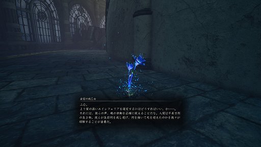 ꡼ No.016 | ֥륭꡼奷ץӥ塼벫ǡɼʹȥܤƶϤŨҤü