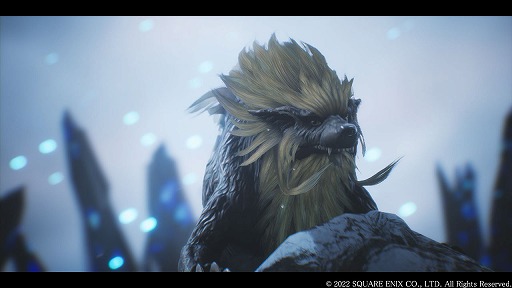 ꡼ No.011 | The DioField Chronicleס14äΤ餹ȡʼĤιԤˤܥξ