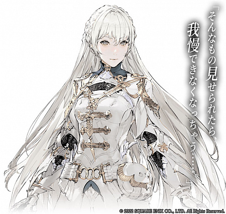 ꡼ No.033 | ȯɽ줿˥åοRPGThe DioField Chronicleפο󤬸