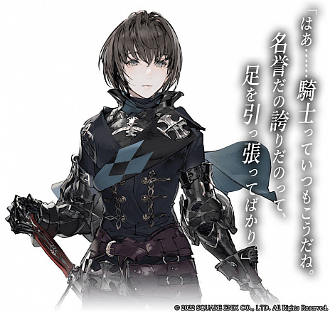 ꡼ No.034 | ȯɽ줿˥åοRPGThe DioField Chronicleפο󤬸