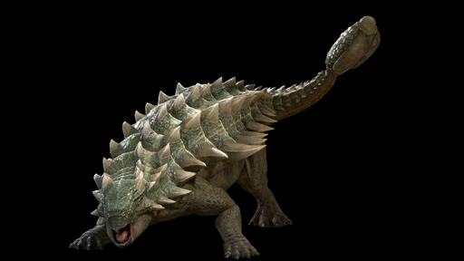 ꡼ No.017 | ﷿֥ץ饤ޥסɥͥåȥƥȼ»ܤꡣߥȤ罸