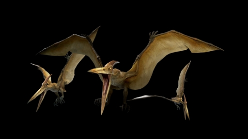 ꡼ No.019 | ﷿֥ץ饤ޥסɥͥåȥƥȼ»ܤꡣߥȤ罸