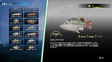 ꡼ No.032 | PS5/PS4ǡBassmaster Fishing 2022פ317ȯ䡣B.A.S.S.ƥĤǥץ󥰥顼ãĩ
