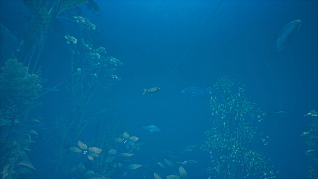 ꡼ No.005 | Bassmaster Fishing 2022פPS5/PS4Ǥ꡼ˡ缫ˤХĩ路褦