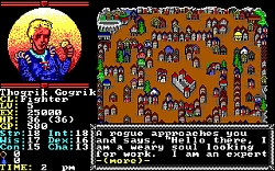 ꡼ No.016Υͥ / Gold BoxDungeons & Dragonsץ饷åʤSteamȥڡˡ330ۿͽ