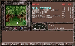 ꡼ No.041Υͥ / Gold BoxDungeons & Dragonsץ饷åʤSteamȥڡˡ330ۿͽ