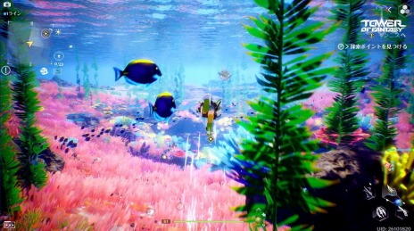 ꡼ No.013 | Tower of Fantasyʸˡ緿åץǡVer.2.4ȿ륱SSR륱ڥꥫɤо