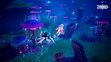 ꡼ No.015 | Tower of Fantasyʸˡ緿åץǡVer.2.4ȿ륱SSR륱ڥꥫɤо