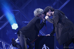 ꡼ No.029Υͥ / ϤϤȥСȥɡɡۿΥץȤˤ붸ΰ롤ޥĥΡ Season1 Special Eventֲ-Ƥο-ץݡ