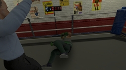 ꡼ No.008Υͥ / PRۡMeta Quest 2פθǤ벾۸¤Ҳ𡣡VRɤϤʤǤǤ⤦ҤȤĤΡȸ¡ɤ