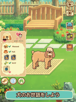 オールドフレンズ・ドッグゲーム