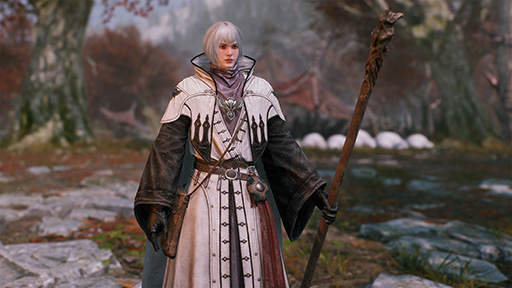 ꡼ No.002Υͥ / MMORPG֥󡦥ɡХƥסܸͥ㥹Ȥȯɽ͵פPC󥽡륲ͥ˽ĩ