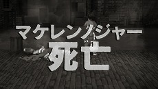 ꡼ No.008Υͥ / Switchǡ֥եȥࡦ󥰥סХҡ¤ײפȯءꤳǻ̾