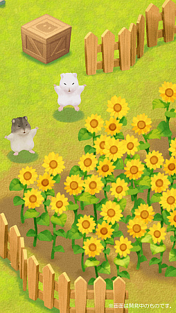 画像ギャラリー No.003のサムネイル画像 / スマホ向けシミュレーション「ハムスターの里」,事前登録の受付を開始