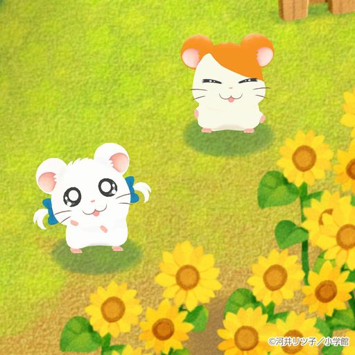 ꡼ No.002 | ֥ϥॹΤפǡ֤ȤäȤϥϺפȤΥܥ٥ȳϡϥϺܤȤäϥ󤺤7餬о